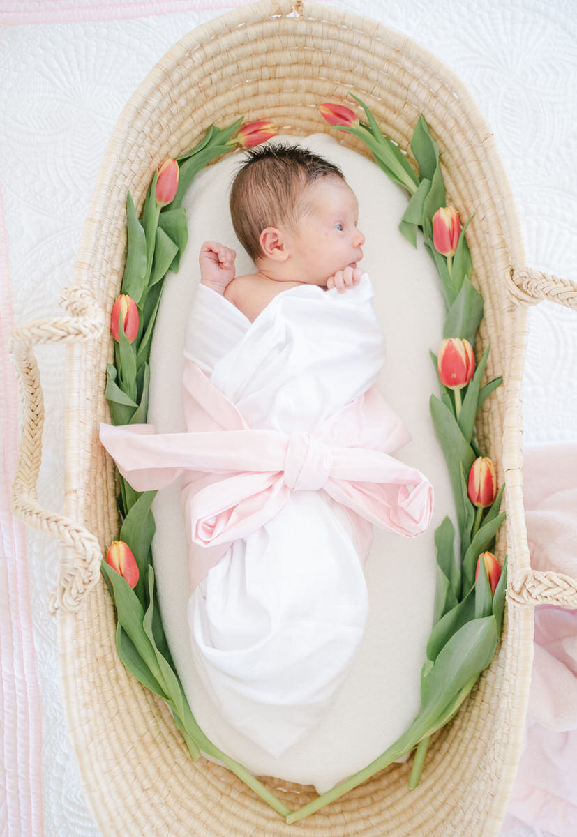 Newborn Pictures Chicago, baby wrapped in bow in moses basket