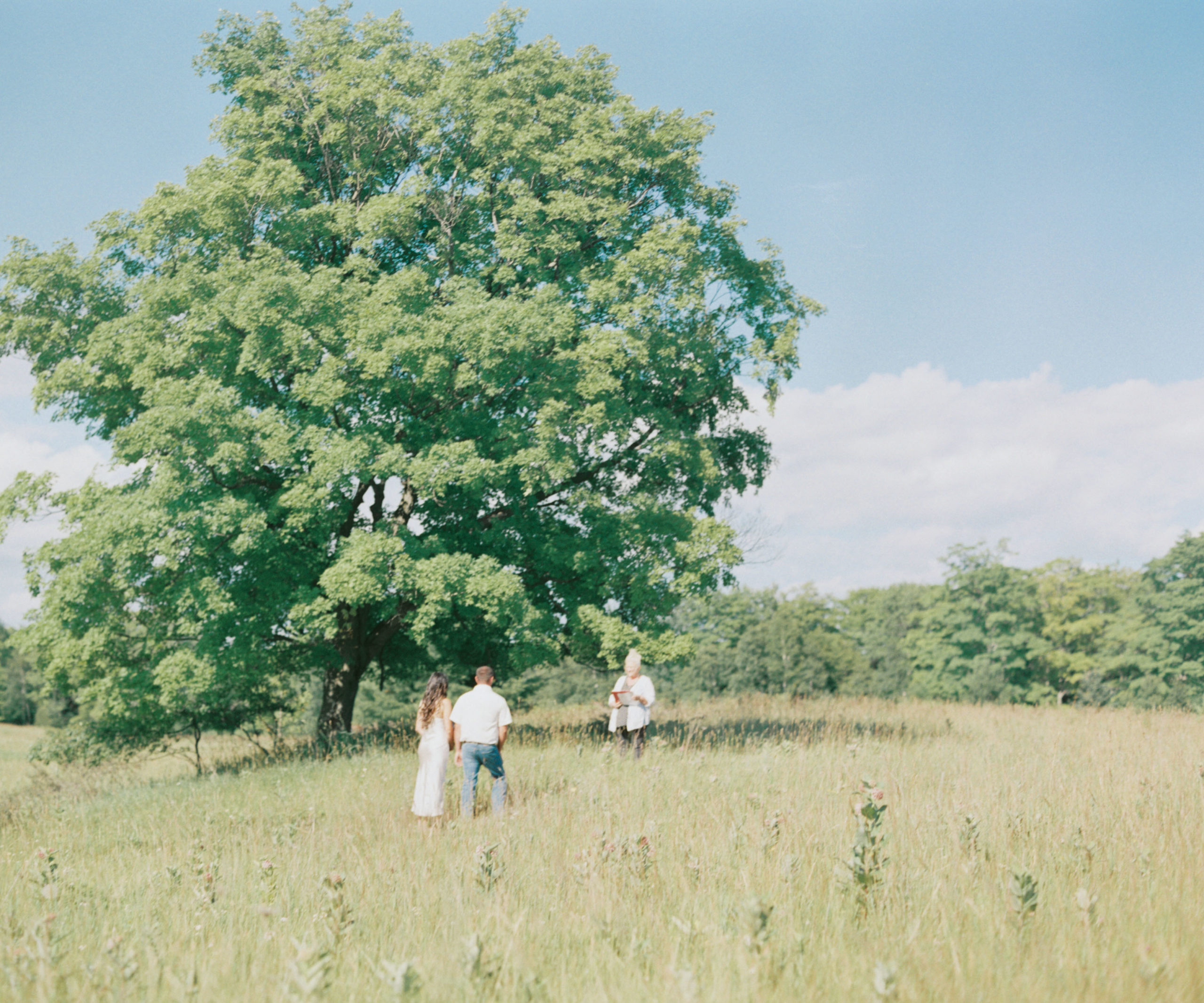 A couple elope with their officiant in door county at newport state park under an oak tree