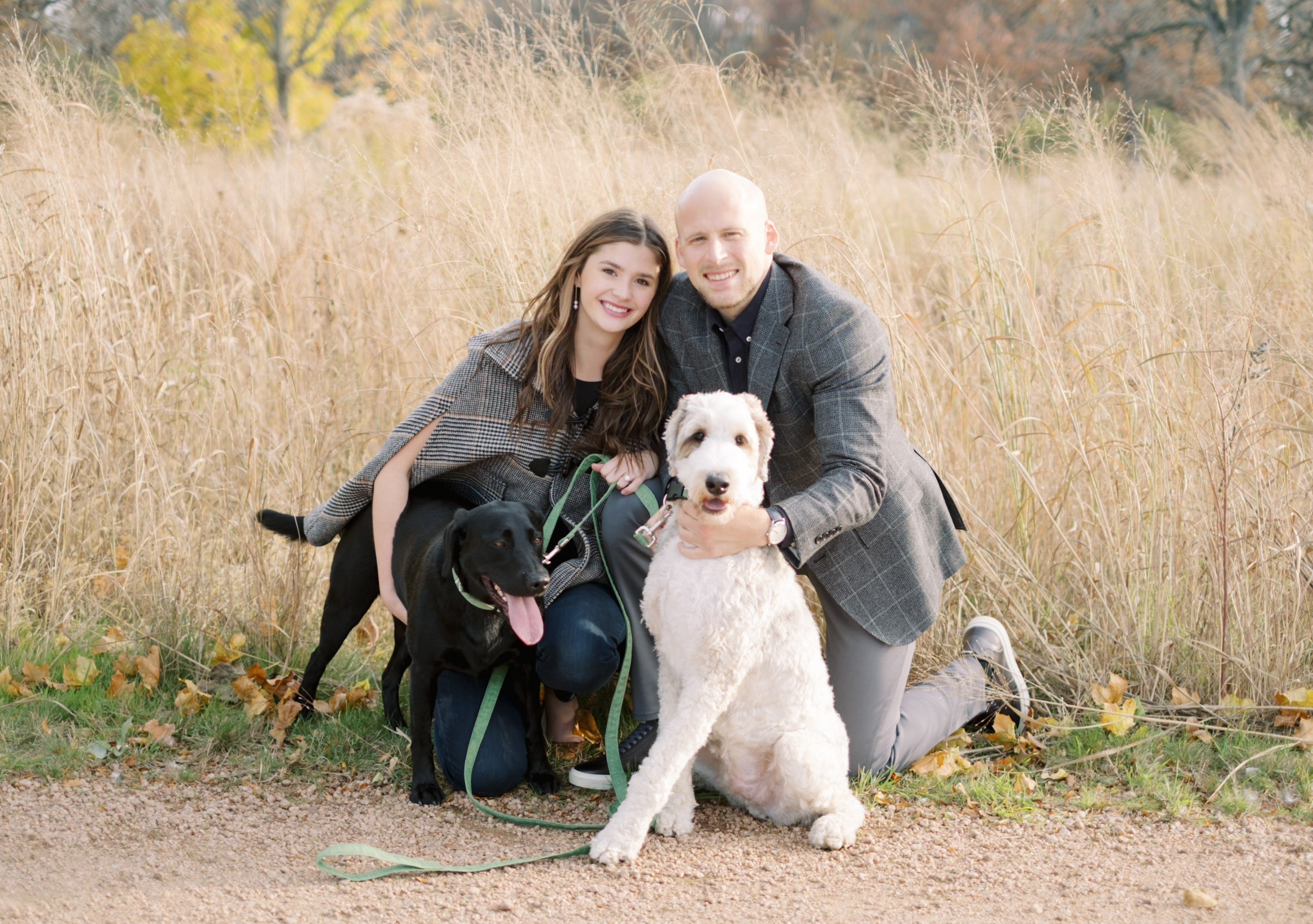 An engaged couple sits in front of tall grass with their black and white dogs